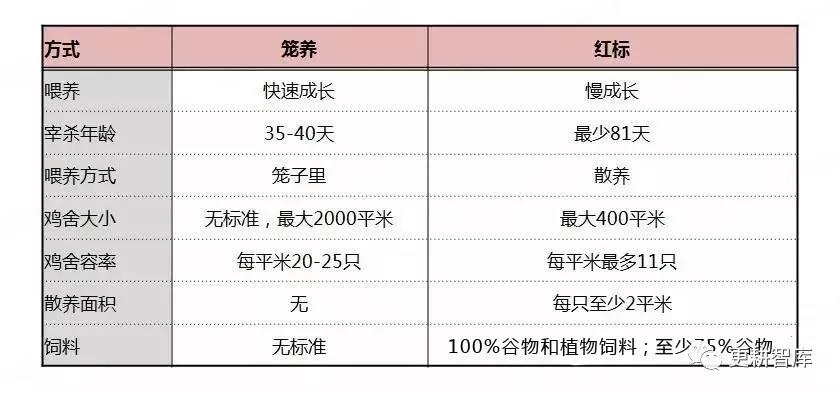 2024新澳今晚资料鸡号几号,权威分析说明_移动版38.486